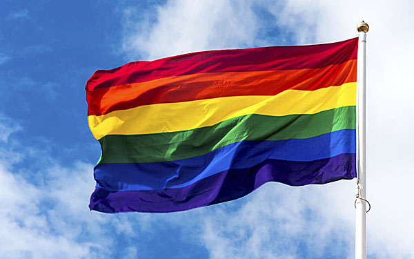what does the real gay flag look like